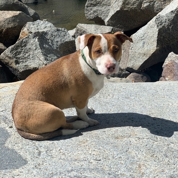 Meet your Posher, Lyna - Picture 1 of 1